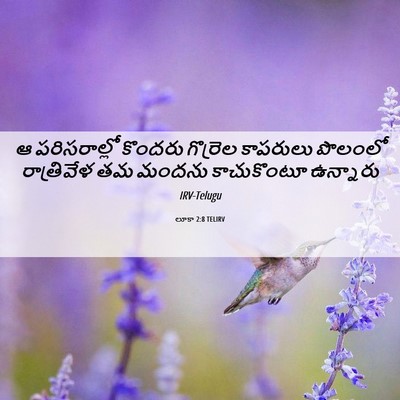 Picture 06 - లూకా 2:8 TELIRV - ఆ పరిసరాల్లో - Bible Verse Picture
