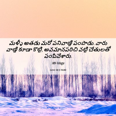 Picture 06 - లూకా 20:11 TELIRV - మళ్ళీ అతడు మరో - Bible Verse Picture