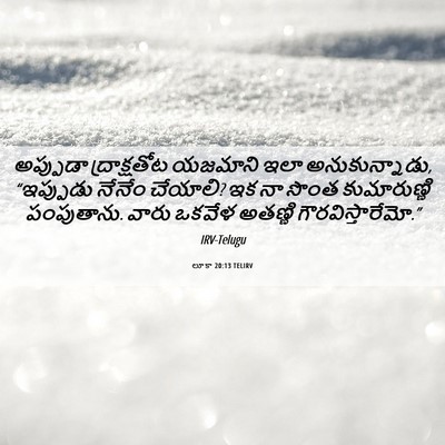 Picture 06 - లూకా 20:13 TELIRV - అప్పుడా - Bible Verse Picture