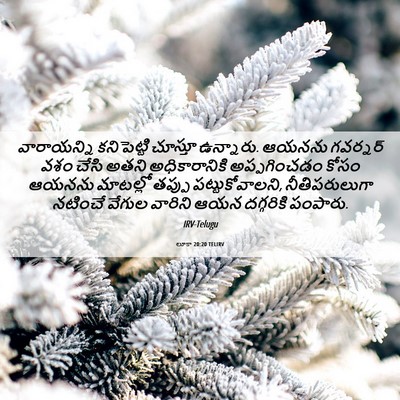 Picture 06 - లూకా 20:20 TELIRV - వారాయన్ని - Bible Verse Picture