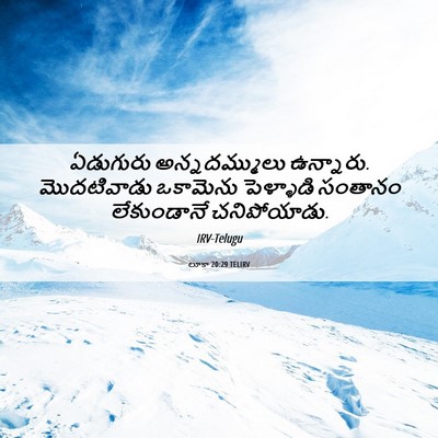 Picture 06 - లూకా 20:29 TELIRV - ఏడుగురు - Bible Verse Picture