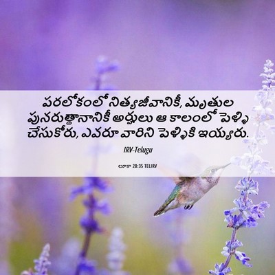 Picture 06 - లూకా 20:35 TELIRV - పరలోకంలో - Bible Verse Picture