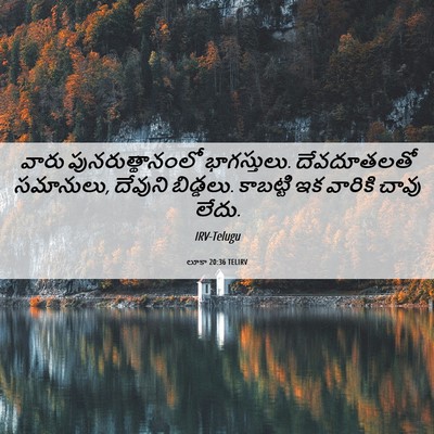 Picture 06 - లూకా 20:36 TELIRV - వారు - Bible Verse Picture
