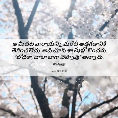 Picture 06 - లూకా 20:39 TELIRV - ఆ మీదట వారాయన్ని - Bible Verse Picture