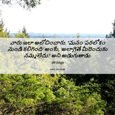 Picture 06 - లూకా 20:5 TELIRV - వారు ఇలా - Bible Verse Picture
