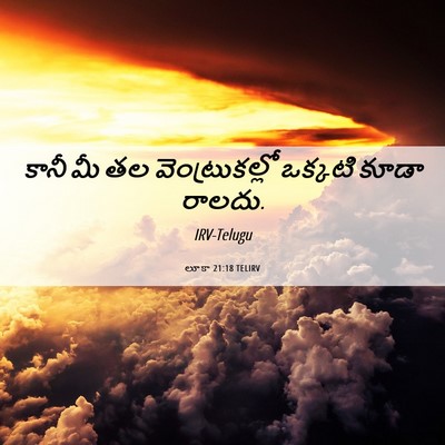 Picture 06 - లూకా 21:18 TELIRV - కానీ మీ తల - Bible Verse Picture