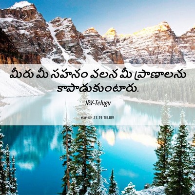 Picture 06 - లూకా 21:19 TELIRV - మీరు మీ సహనం వలన మీ - Bible Verse Picture