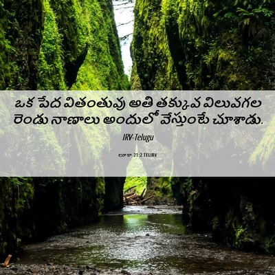 Picture 06 - లూకా 21:2 TELIRV - ఒక పేద వితంతువు - Bible Verse Picture