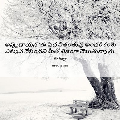 Picture 06 - లూకా 21:3 TELIRV - అప్పుడాయన “ఈ పేద - Bible Verse Picture