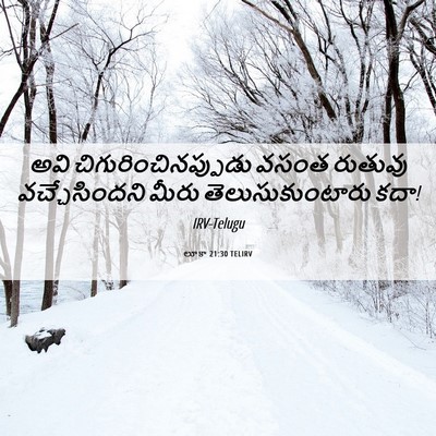 Picture 06 - లూకా 21:30 TELIRV - అవి - Bible Verse Picture