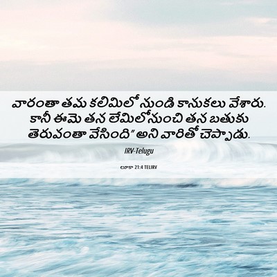 Picture 06 - లూకా 21:4 TELIRV - వారంతా తమ కలిమిలో - Bible Verse Picture