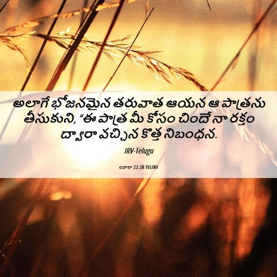 Picture 06 - లూకా 22:20 TELIRV - అలాగే భోజనమైన - Bible Verse Picture