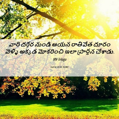 Picture 06 - లూకా 22:41 TELIRV - వారి దగ్గర నుండి - Bible Verse Picture