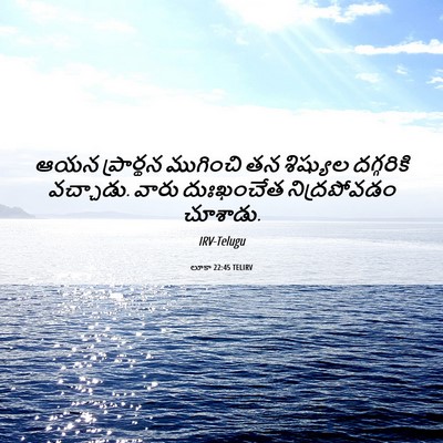 Picture 06 - లూకా 22:45 TELIRV - ఆయన ప్రార్థన - Bible Verse Picture