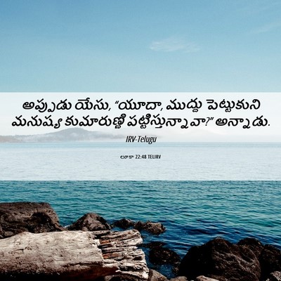 Picture 06 - లూకా 22:48 TELIRV - అప్పుడు యేసు, - Bible Verse Picture