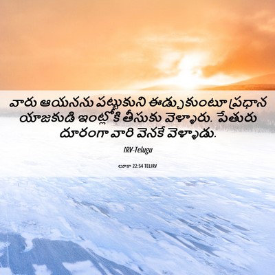 Picture 06 - లూకా 22:54 TELIRV - వారు ఆయనను - Bible Verse Picture