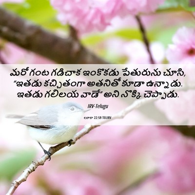 Picture 06 - లూకా 22:59 TELIRV - మరో గంట గడిచాక - Bible Verse Picture