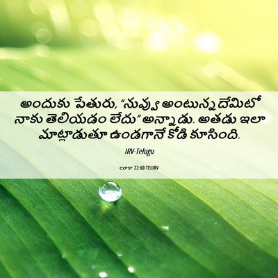 Picture 06 - లూకా 22:60 TELIRV - అందుకు పేతురు, - Bible Verse Picture