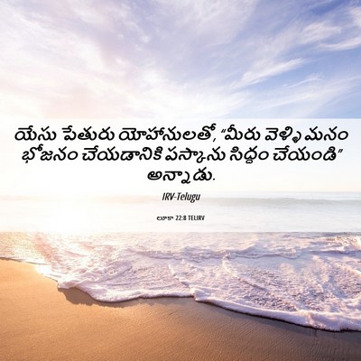 Picture 06 - లూకా 22:8 TELIRV - యేసు పేతురు - Bible Verse Picture