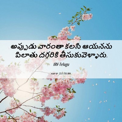 Picture 06 - లూకా 23:1 TELIRV - అప్పుడు వారంతా - Bible Verse Picture