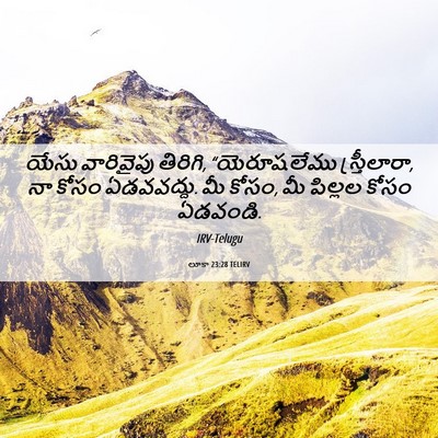 Picture 06 - లూకా 23:28 TELIRV - యేసు వారివైపు - Bible Verse Picture