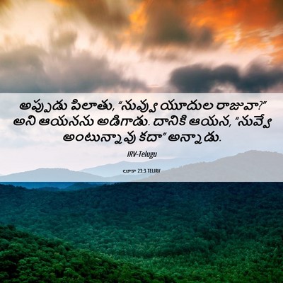 Picture 06 - లూకా 23:3 TELIRV - అప్పుడు పిలాతు, - Bible Verse Picture