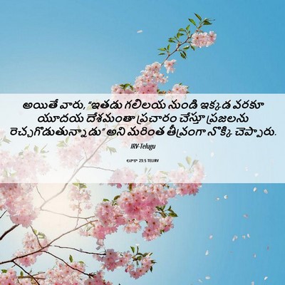 Picture 06 - లూకా 23:5 TELIRV - అయితే వారు, “ఇతడు - Bible Verse Picture