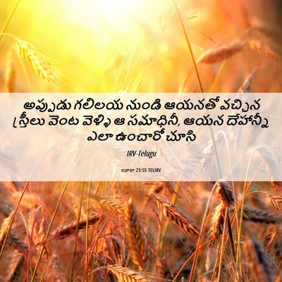 Picture 06 - లూకా 23:55 TELIRV - అప్పుడు గలిలయ - Bible Verse Picture