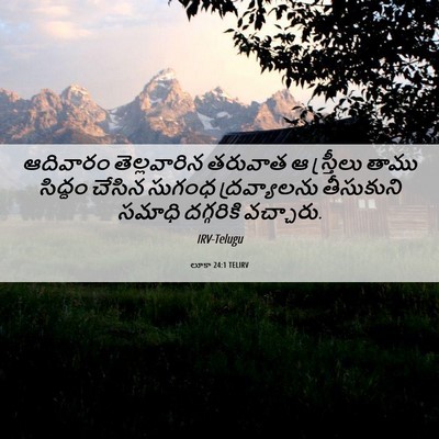 Picture 06 - లూకా 24:1 TELIRV - ఆదివారం - Bible Verse Picture