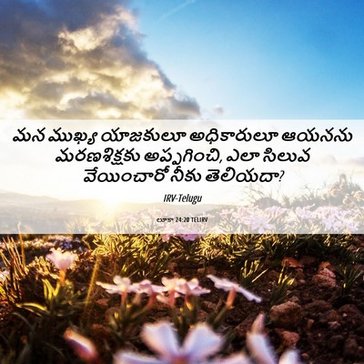 Picture 06 - లూకా 24:20 TELIRV - మన ముఖ్య యాజకులూ - Bible Verse Picture