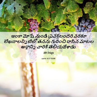 Picture 06 - లూకా 24:27 TELIRV - ఇంకా మోషే నుండి - Bible Verse Picture