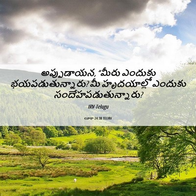 Picture 06 - లూకా 24:38 TELIRV - అప్పుడాయన, “మీరు - Bible Verse Picture