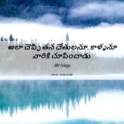 Picture 06 - లూకా 24:40 TELIRV - అలా చెప్పి తన - Bible Verse Picture