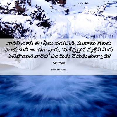Picture 06 - లూకా 24:5 TELIRV - వారిని చూసి ఈ - Bible Verse Picture