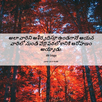 Picture 06 - లూకా 24:51 TELIRV - అలా వారిని - Bible Verse Picture