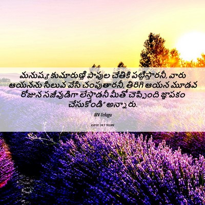 Picture 06 - లూకా 24:7 TELIRV - మనుష్య కుమారుణ్ణి - Bible Verse Picture