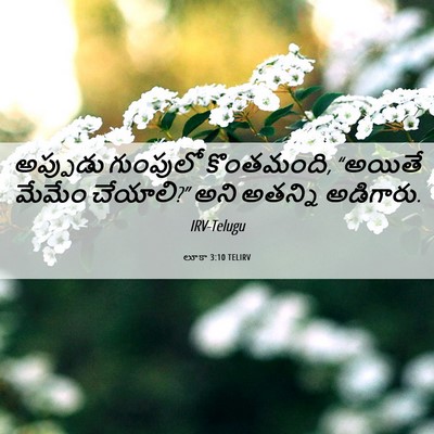 Picture 06 - లూకా 3:10 TELIRV - అప్పుడు గుంపులో - Bible Verse Picture