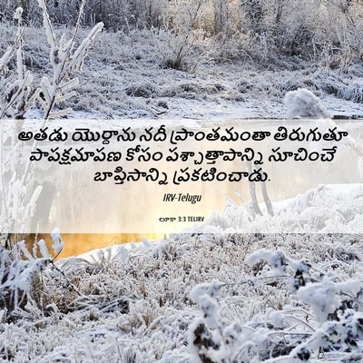 Picture 06 - లూకా 3:3 TELIRV - అతడు యొర్దాను నదీ - Bible Verse Picture