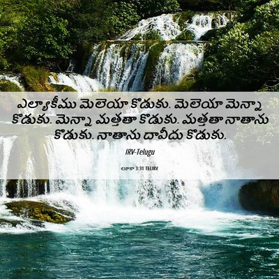Picture 06 - లూకా 3:31 TELIRV - ఎల్యాకీము మెలెయా - Bible Verse Picture