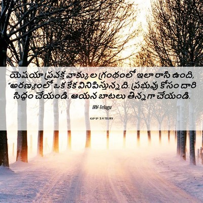 Picture 06 - లూకా 3:4 TELIRV - యెషయా ప్రవక్త - Bible Verse Picture
