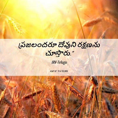 Picture 06 - లూకా 3:6 TELIRV - ప్రజలందరూ దేవుని - Bible Verse Picture