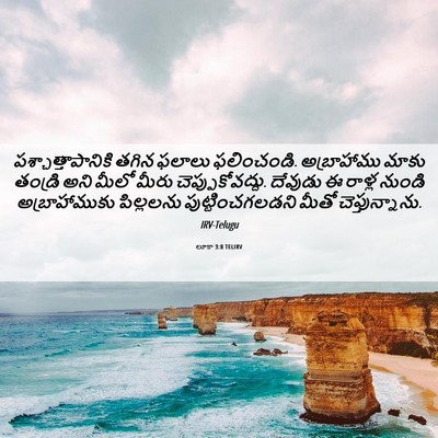 Picture 06 - లూకా 3:8 TELIRV - పశ్చాత్తాపానికి - Bible Verse Picture