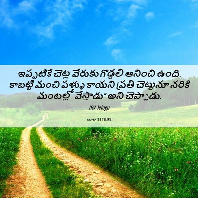 Picture 06 - లూకా 3:9 TELIRV - ఇప్పటికే చెట్ల - Bible Verse Picture