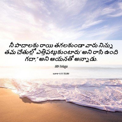Picture 06 - లూకా 4:11 TELIRV - నీ పాదాలకు రాయి - Bible Verse Picture