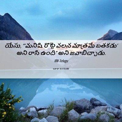 Picture 06 - లూకా 4:4 TELIRV - యేసు, “‘మనిషి - Bible Verse Picture