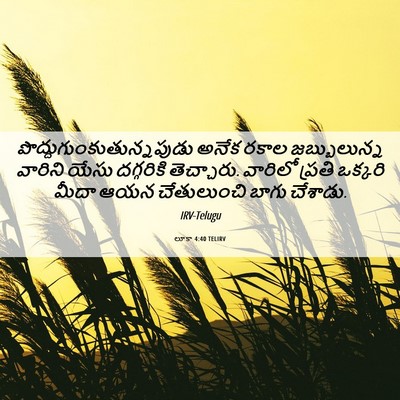 Picture 06 - లూకా 4:40 TELIRV -  - Bible Verse Picture