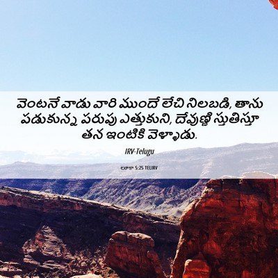 Picture 06 - లూకా 5:25 TELIRV - వెంటనే వాడు వారి - Bible Verse Picture