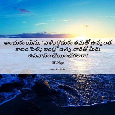Picture 06 - లూకా 5:34 TELIRV - అందుకు యేసు, - Bible Verse Picture