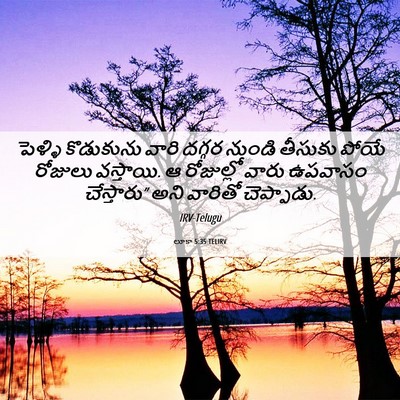 Picture 06 - లూకా 5:35 TELIRV - పెళ్ళి కొడుకును - Bible Verse Picture