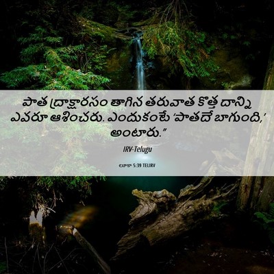 Picture 06 - లూకా 5:39 TELIRV - పాత ద్రాక్షారసం - Bible Verse Picture